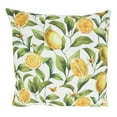 thumbnail image 1 of 18 in. Lemons Design Outdoor Square Throw Pillow with Poly Filling, Multi Color, 1 of 1