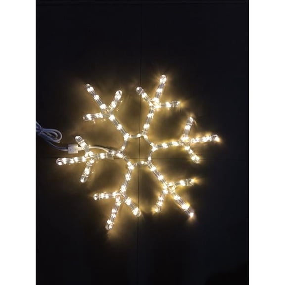 18 in. Ropelit Snowflake, Warm White
