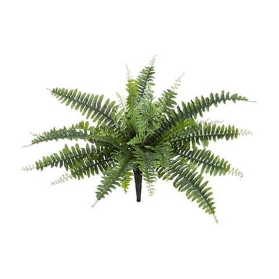 18 in. UV Protected Boston Fern Bush - Green