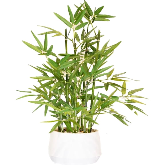 18 inch Tall White Potted Artificial - Luxury Artificial Tree in White Pot for , Office, Kitchen, Counter Top, Indoor , Tree, Lucky Tree.
