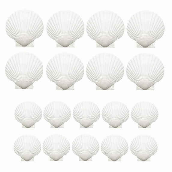18PCS Natural Scallop Shells,White Seashells Bulk for Crafts DIY Painting Baking and Ocean Summer Beach Wedding Home,18 * natural white scallops,White