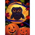 thumbnail image 1 of 18 x 12.5 in. Halloween Owl Garden Flag, 1 of 1