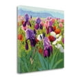 thumbnail image 1 of 18" x 18" Early June By Shirley Novak - Print on Canvas Fabric Multi-Color, 1 of 2