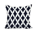 Square Pillow Cover & Insert Size: 20"H x 20" W x 3" D