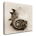 thumbnail image 1 of 18" x 18" La Playa No2 by Alan Blaustein - Wall Art Print on Canvas Fabric Gray, 1 of 3