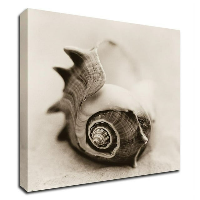 18" x 18" La Playa No2 by Alan Blaustein - Wall Art Print on Canvas Fabric Gray