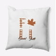 thumbnail image 1 of 18" x 18" Simply Daisy Sweet Fall Polyester Accent Pillow, Nutmeg Qty 1, 1 of 6