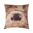 thumbnail image 1 of Sloth To Do Indoor/Outdoor Decorative Throw Pillow, 18" x 18", 1 of 7