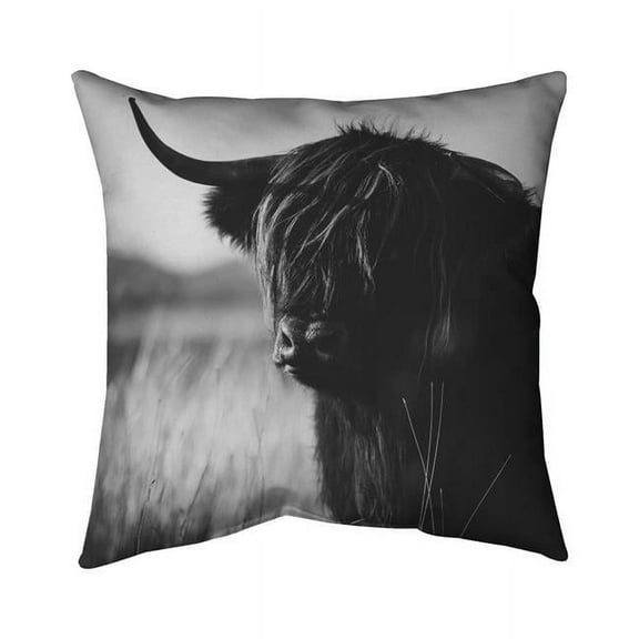 18 x 18 in. Beautiful Monochrome Highland Cow-Double Sided Print Indoor Pillow