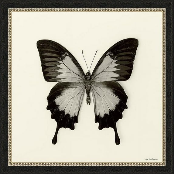 18 x 18 in. Butterfly III BW, Framed Fine Art Print with Glass