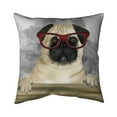thumbnail image 1 of 18 x 18 in. Geek Carlin-Double Sided Print Outdoor Pillow Cover, 1 of 1