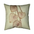 thumbnail image 1 of 18 x 18 in. Growing Ground Cherries-Double Sided Print Indoor Pillow, 1 of 1