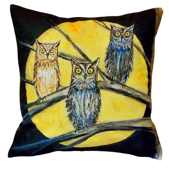18 x 18 in. Night Owls No Cord Pillow