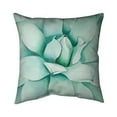 thumbnail image 1 of 18 x 18 in. Succulent Closeup-Double Sided Print Indoor Pillow, 1 of 1