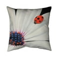 thumbnail image 1 of 18 x 18 in. White Daisy & Ladybug-Double Sided Print Indoor Pillow, 1 of 1