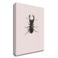 thumbnail image 1 of 18" x 24" Lucanus cervus by Incado - Wall Art Print on Canvas Fabric Pink, 1 of 3