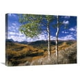 thumbnail image 1 of 18 x 24 in. Aspen Trees in Fall-Colors on Elk Mountains, Capitol Creek Trailhead, Colorado Art Print - Tim Fitzharris, 1 of 1