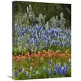thumbnail image 1 of 18 x 24 in. Bluebonnet & Pricky Pear Cactus, Texas Art Print - Tim Fitzharris, 1 of 1