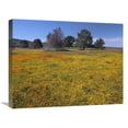 thumbnail image 1 of 18 x 24 in. California Poppy & Eriophyllum Flowers in Field, Antelope Valley, California Art Print - Tim Fitzharris, 1 of 1