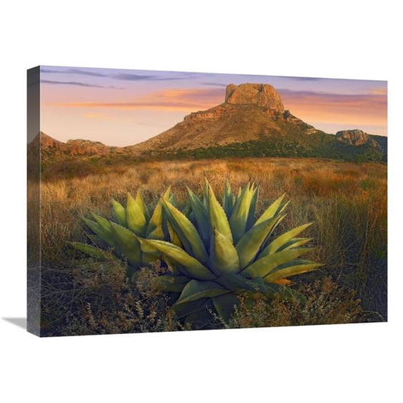 18 x 24 in. Casa Grande Butte with Agave in Foreground, Big Bend National Park, Texas Art Print - Tim Fitzharris