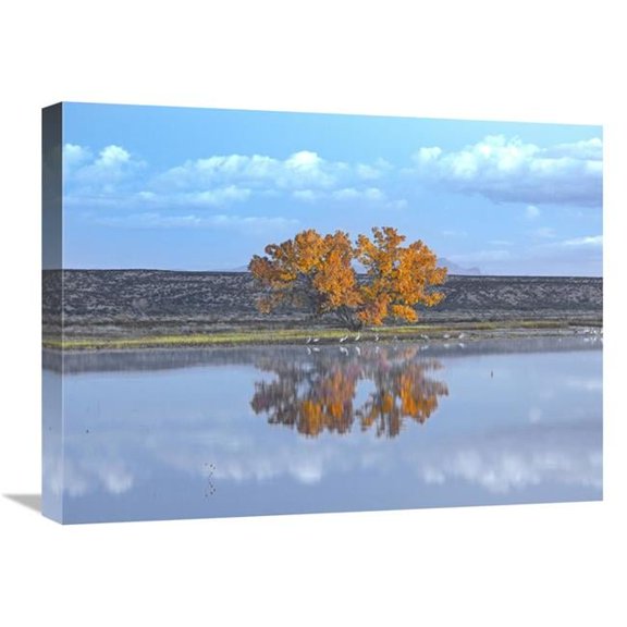 18 x 24 in. Cottonwood & Cranes, Autumn Foliage, Bosque Del Apache National Wildlife Refuge, New Mexico Art Print - Tim Fitzharris