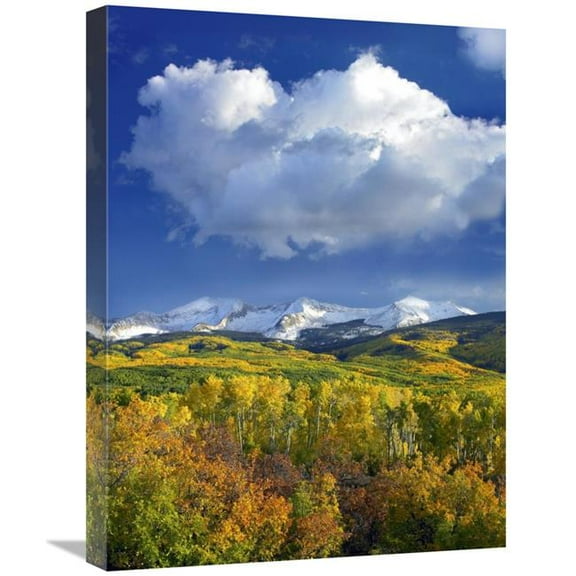 18 x 24 in. East Beckwith Mountain Flanked by Fall Colored Aspen Forests Under Cumulus Clouds, Colorado Art Print - Tim Fitzharris