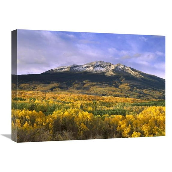 18 x 24 in. East Beckwith Mountain & Trees in Fall Color, Gunnison National Forest, Colorado Art Print - Tim Fitzharris