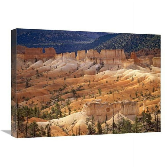 18 x 24 in. Landscape of Eroded Formations Called Hoodoos & Fins, Bryce Canyon National Park, Utah Art Print - Tim Fitzharris