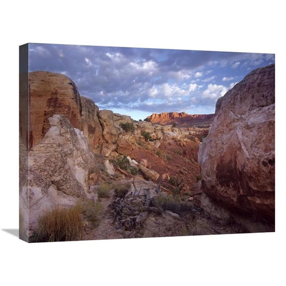 18 x 24 in. Meeks Mesa, Capitol Reef National Park, Utah Art Print - Tim Fitzharris