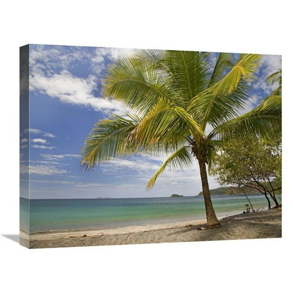 18 x 24 in. Palm Trees Line Penca Beach, Costa Rica Art Print - Tim Fitzharris
