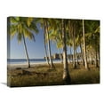 thumbnail image 1 of 18 x 24 in. Palms At Playa Carrillo, Guanacaste, Costa Rica Art Print - Tim Fitzharris, 1 of 1