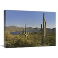 thumbnail image 1 of 18 x 24 in. Saguaro Cactus at Bartlett Lake, Arizona Art Print - Tim Fitzharris, 1 of 1