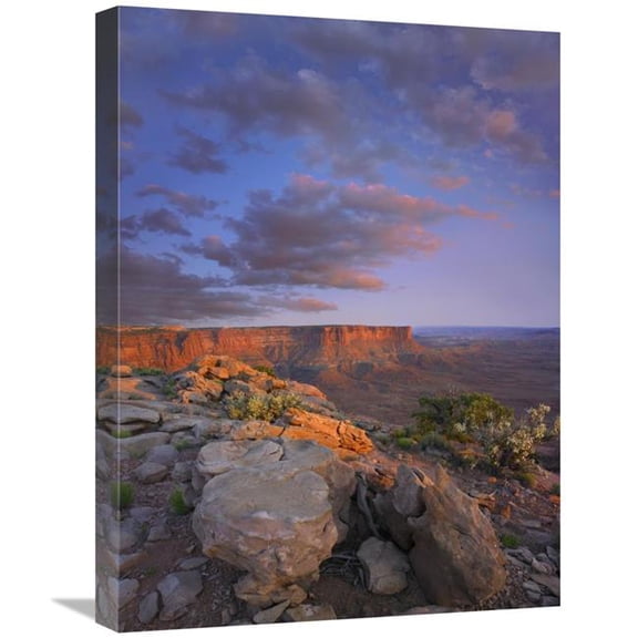 18 x 24 in. View From the Green River Overlook, Canyonlands National Park, Utah Art Print - Tim Fitzharris