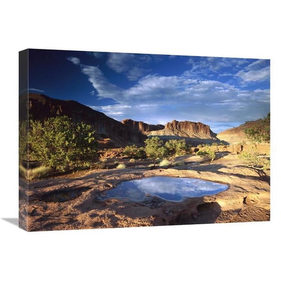 18 x 24 in. Water Pothole at Panorama Point, Capitol Reef National Park, Utah Art Print - Tim Fitzharris