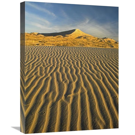 18 x 24 in. Wind Ripples in Kelso Dunes, Mojave National Preserve, California Art Print - Tim Fitzharris