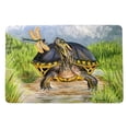 thumbnail image 1 of 18 x 26 in. Dragonfly to Turtle Door Mat - Small, 1 of 1