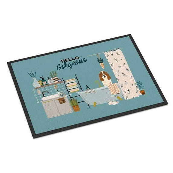 18 x 27 in. Russian Spaniel in Bathtub Indoor or Outdoor Mat