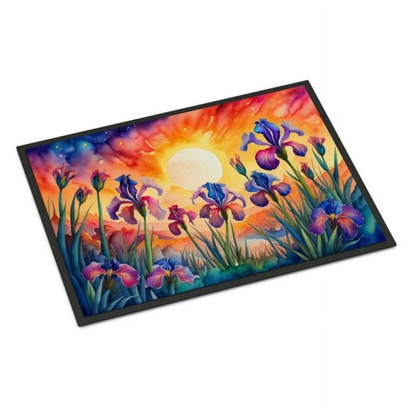 18 x 27 in. Unisex Iris in Color Doormat