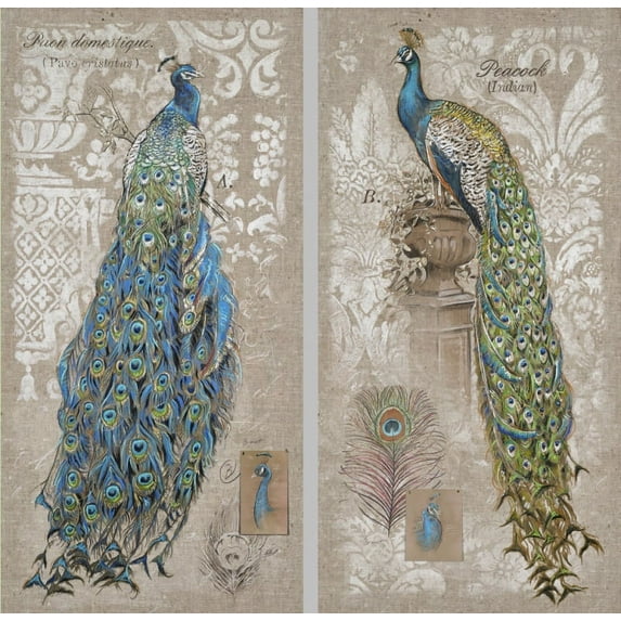 18 x 36 Indoor Canvas-Peacock