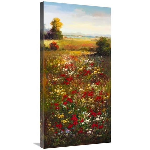 18 x 36 in. Wildflower Meadow II Art Print - Arcobaleno
