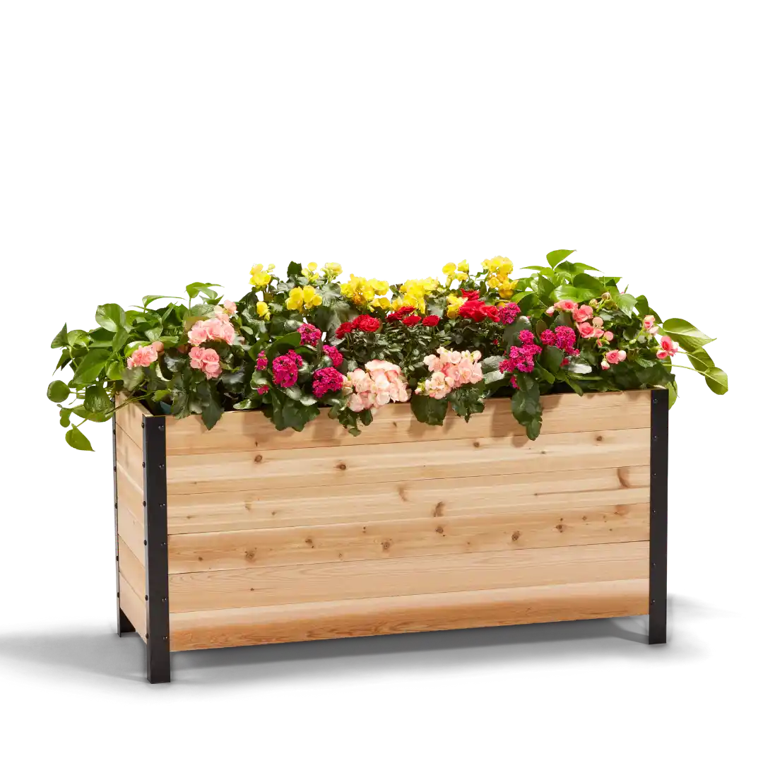 Cedar Planters 18" x 48" Elevated Garden Bed - Western Red Cedar Raised Planter Box, 24" Tall