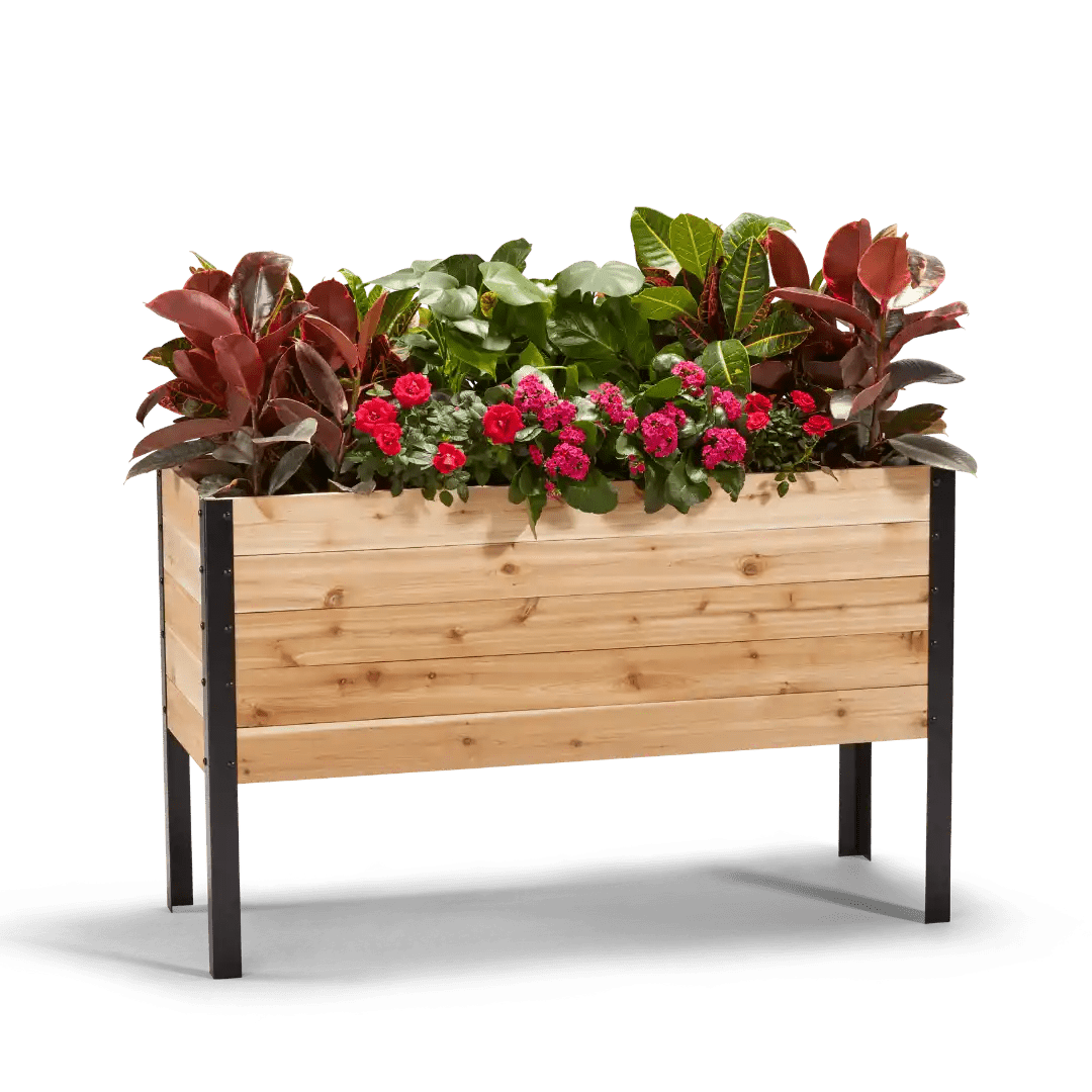 Cedar Planters 18" x 48" Outdoor Raised Garden Bed - 100% Canadian Western Red Cedar Elevated Planter Kit, 30" Tall