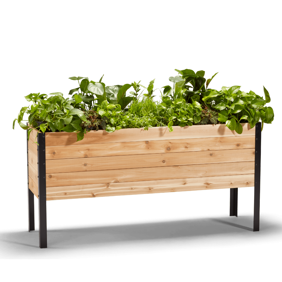 Cedar Planters 18" x 60" Outdoor Raised Garden Bed - 100% Canadian Western Red Cedar Elevated Planter Kit, 30" Tall