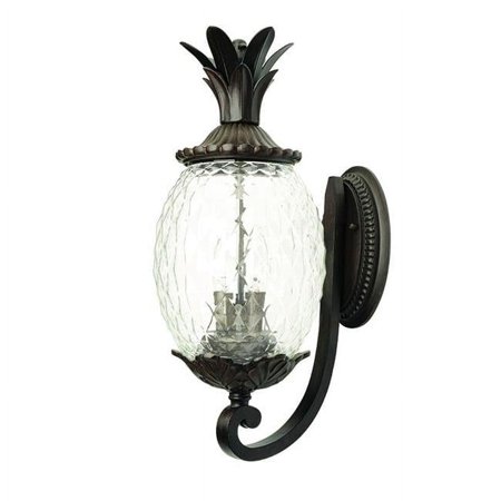 18 x 7.5 x 10 in. Lanai 2-Light Black Coral Wall Light