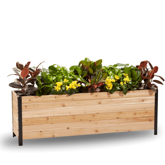 Cedar Planters 18" x 72" Elevated Garden Bed - 100% Canadian Western Red Cedar Raised Planter Box, 24" Tall