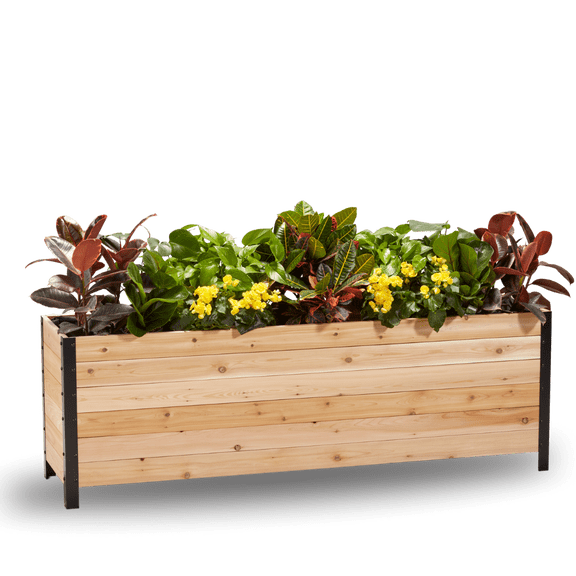 Cedar Planters 18" x 72" Elevated Garden Bed - 100% Canadian Western Red Cedar Raised Planter Box, 24" Tall