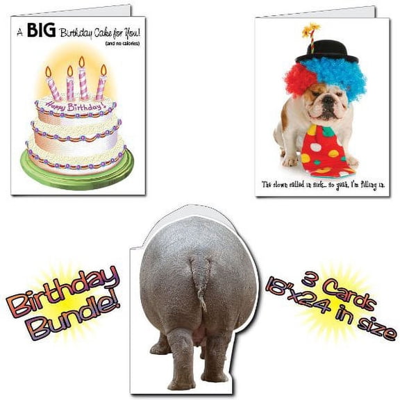 18"x24" BIG Birthday Cards, Set of 6 Funny Cards, 2 Each of 3 Designs, w/Envelopes