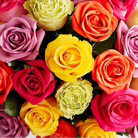 1800 Flowers - 48 Stem Assorted Roses (Bouquet Only) - Bulk Fresh Flowers for Delivery - Gift for Birthday, Anniversary, Get Well, Thank You