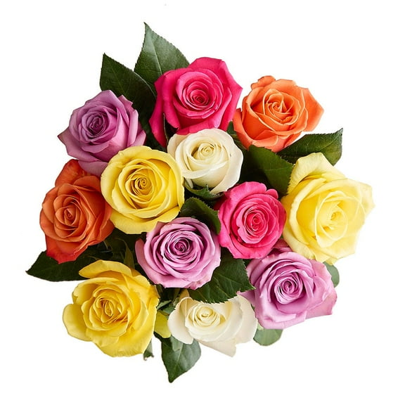 1800 Flowers - Rose Bouquet Only: 12 Multicolor Roses, Decorative