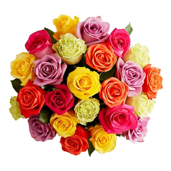 1800 Flowers - Rose Bouquet Only: 24 Multicolor Roses, Decorative